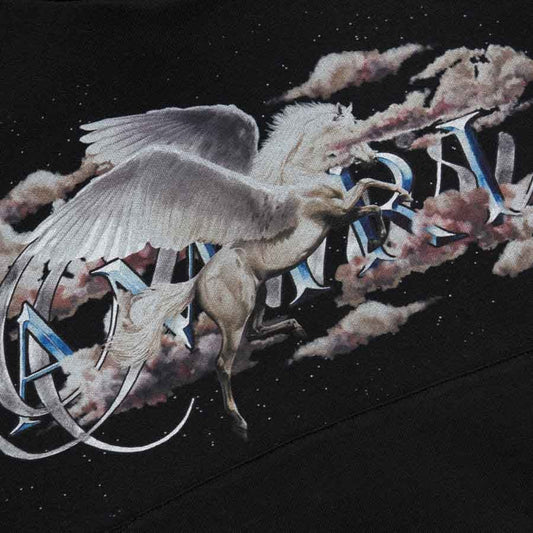 Amiri Pegasus Script Hoodie in Black