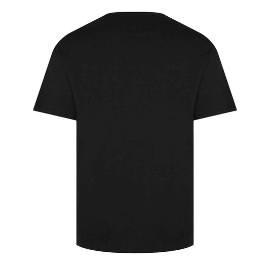 Amiri Pegasus Script Logo T-Shirt in Black