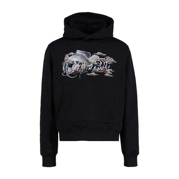 amiri-pegasus-script-hoodie-in