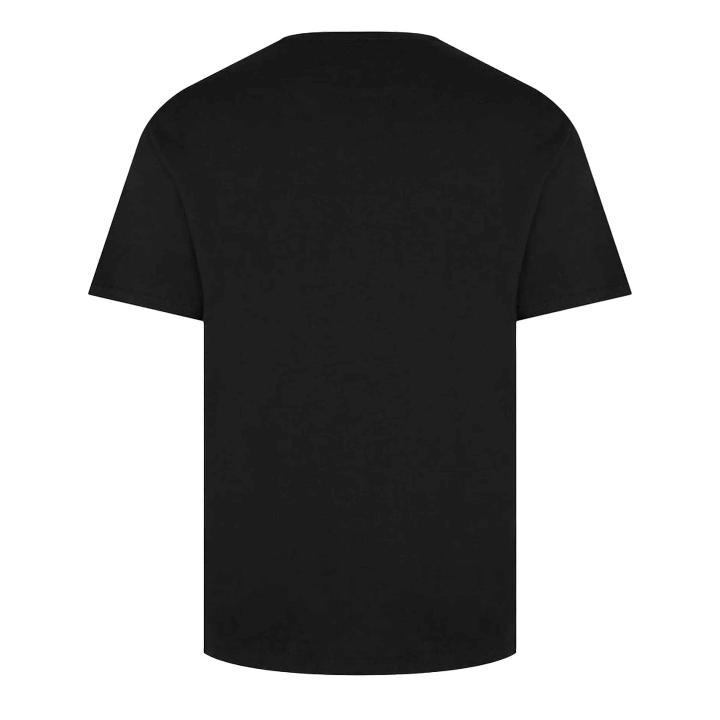 Amiri Pegasus Script Logo T-Shirt in Black