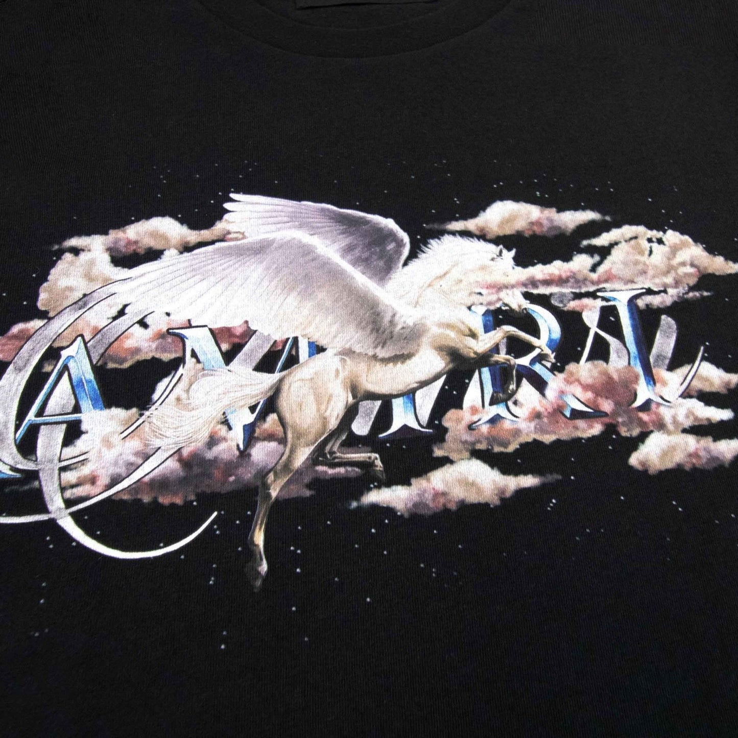 Amiri Pegasus Script Logo T-Shirt in Black