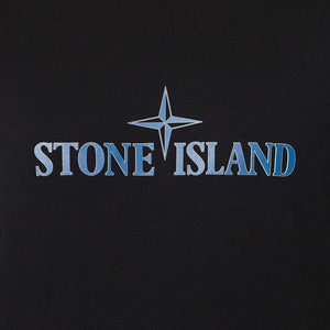 Stone Island 'Institutional Three' T-Shirt in BlackT-ShirtsStone IslandDPUSSStone Island 'Institutional Three' T-Shirt in Black